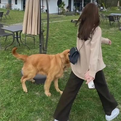 完美分身